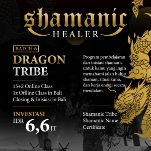 Shamanic Healer Batch 6 – Dragon Tribe