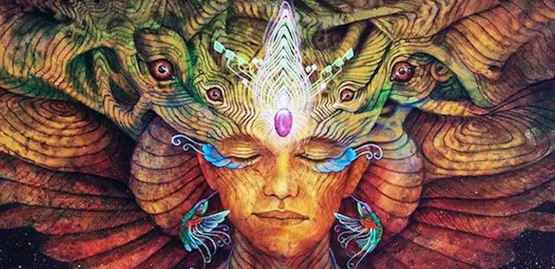 Apa Itu Shamanic Ritual? Memahami Praktik Kuno dalam Kehidupan Modern